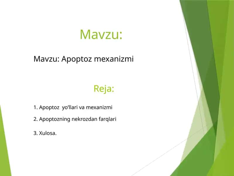 Apoptoz mexanizmi 1