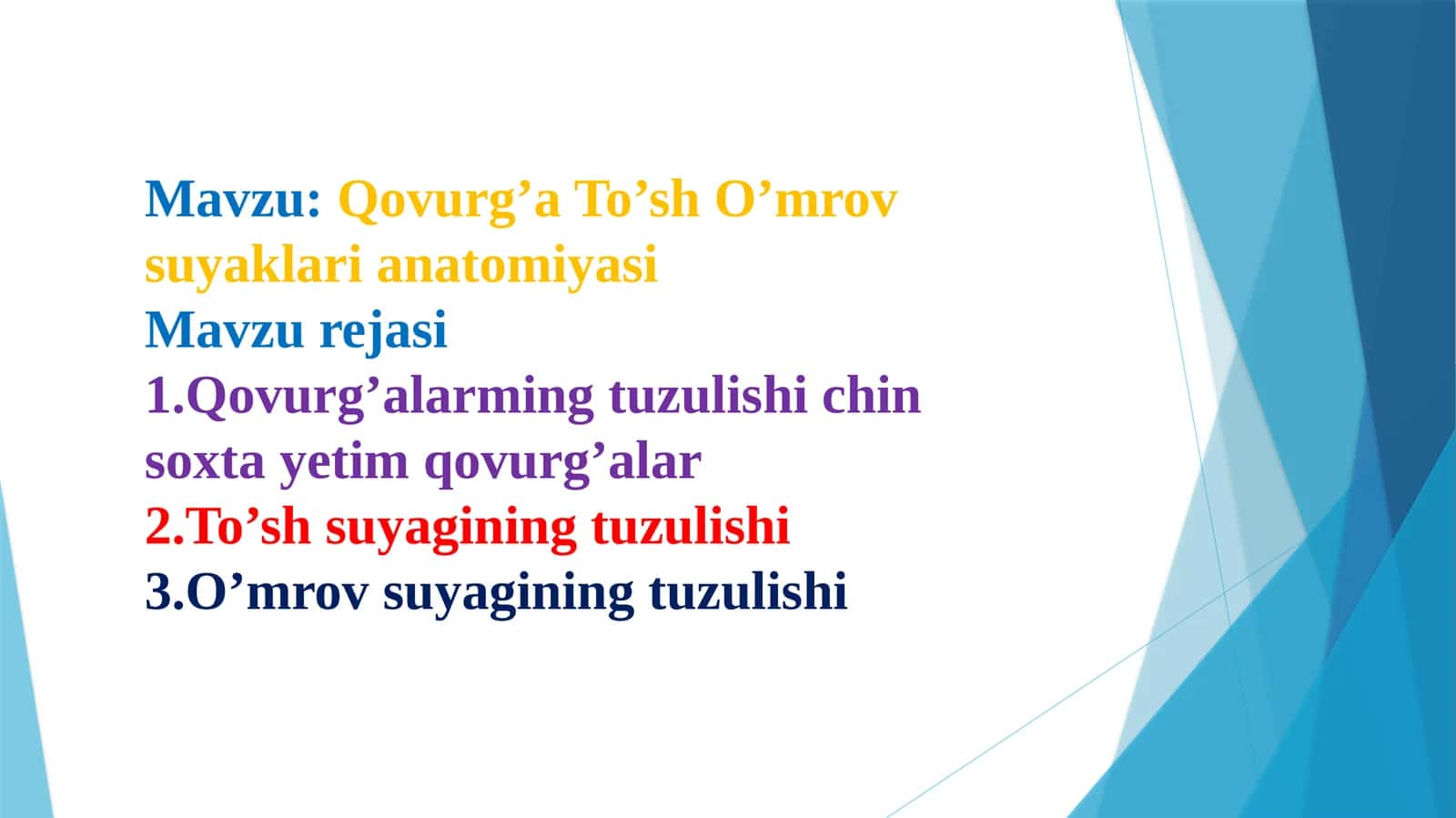 QOVURG'A TO'SH O'MROV ANATOMIYASI PREZENTATSIYA 1