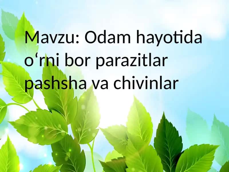 Odam hayotida oʻrni bor parazitlar pashsha va chivinlar 1