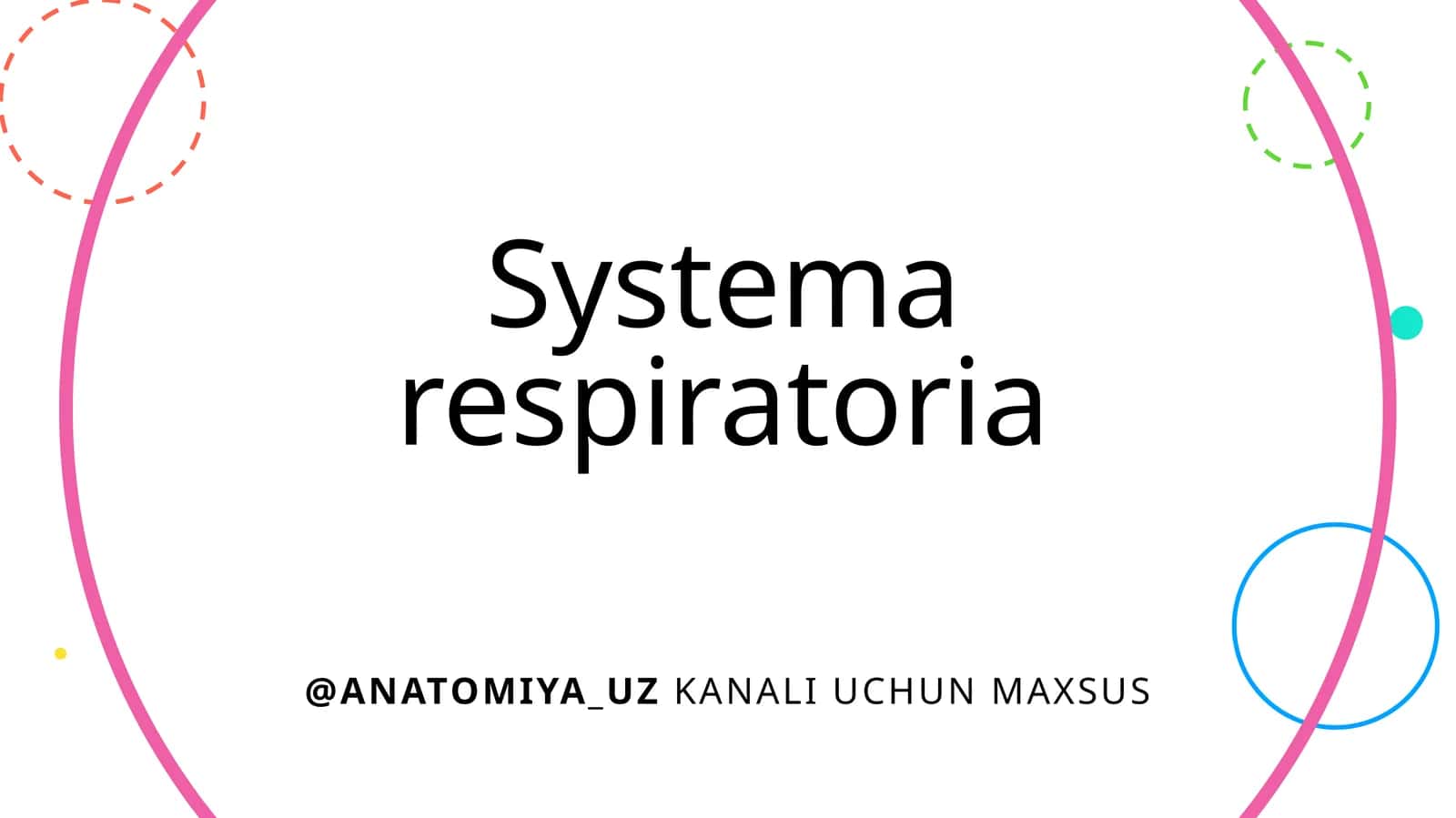 Systemarespiratoria 1