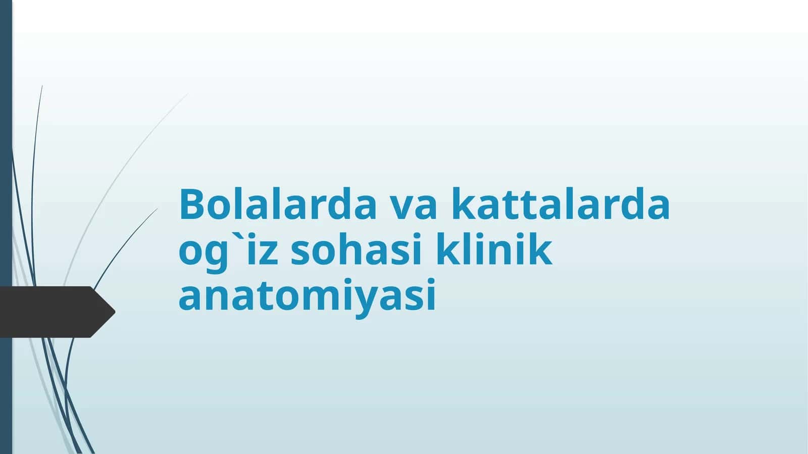 Og`iz sohasi anatomiyasi 1