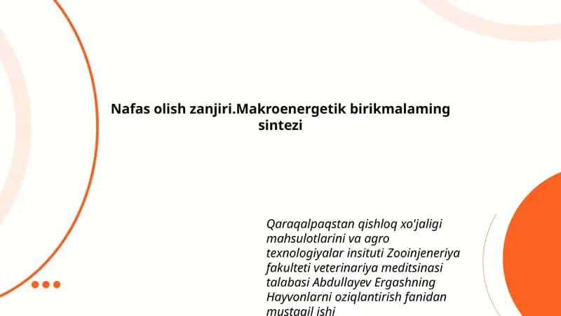 Nafas olish zanjiri 1