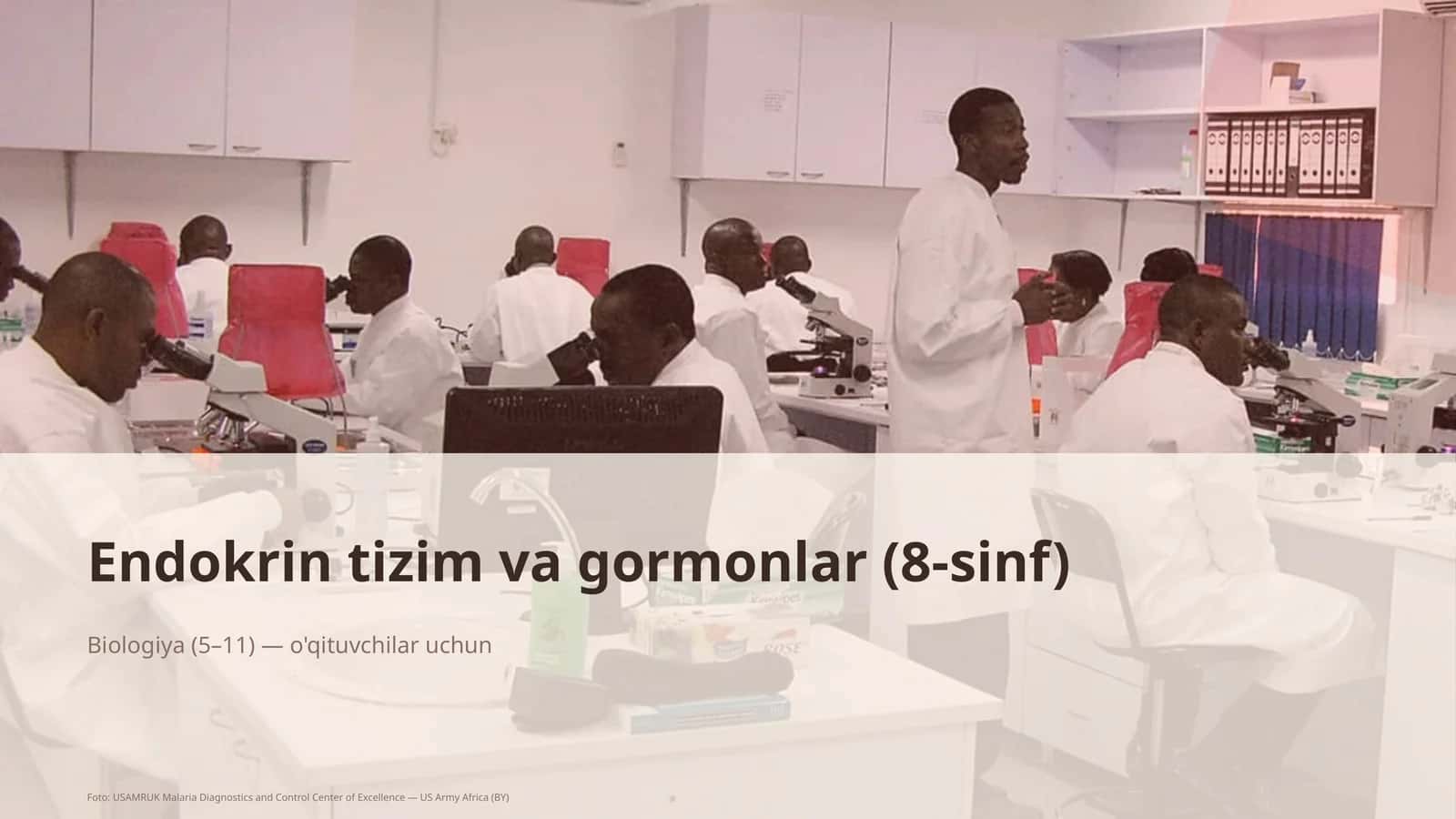 Endokrin tizim va gormonlar (8-sinf) 1