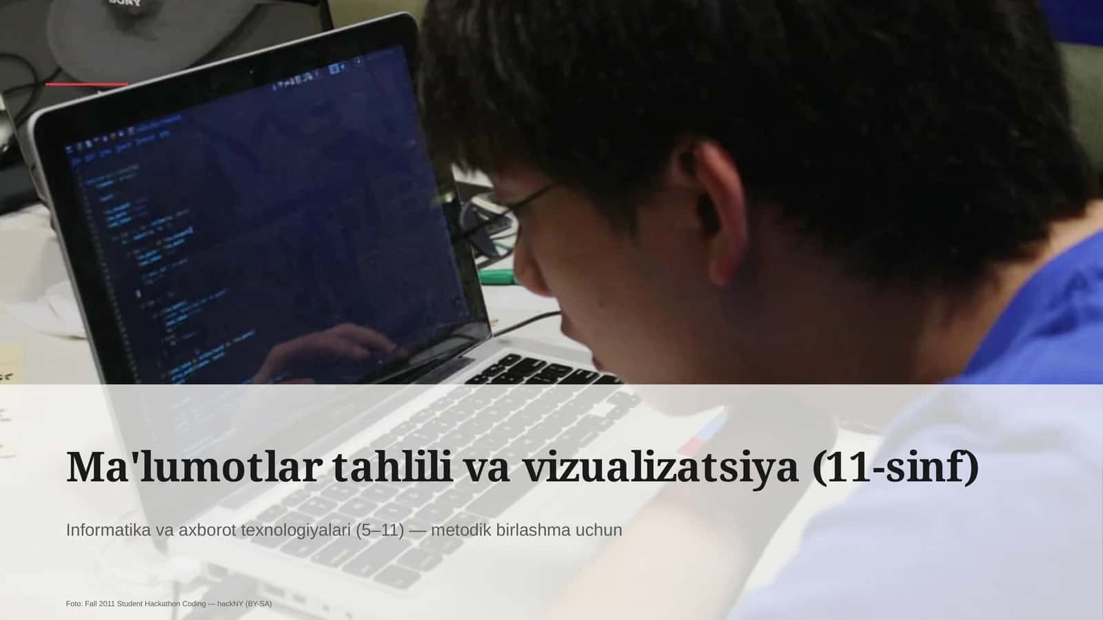 Ma'lumotlar tahlili va vizualizatsiya (11-sinf) 1