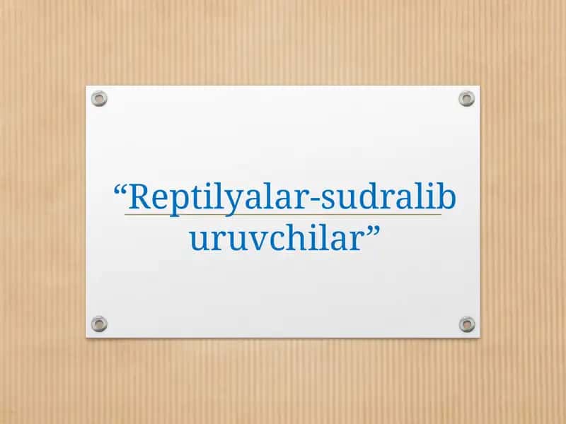 Reptilyalar-sudraliburuvchilar 1