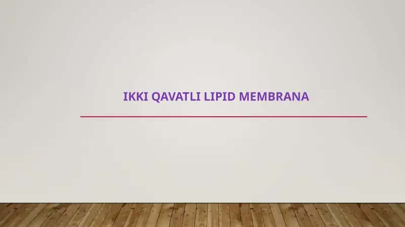 IKKI QAVATLI LIPID MEMBRANA 1