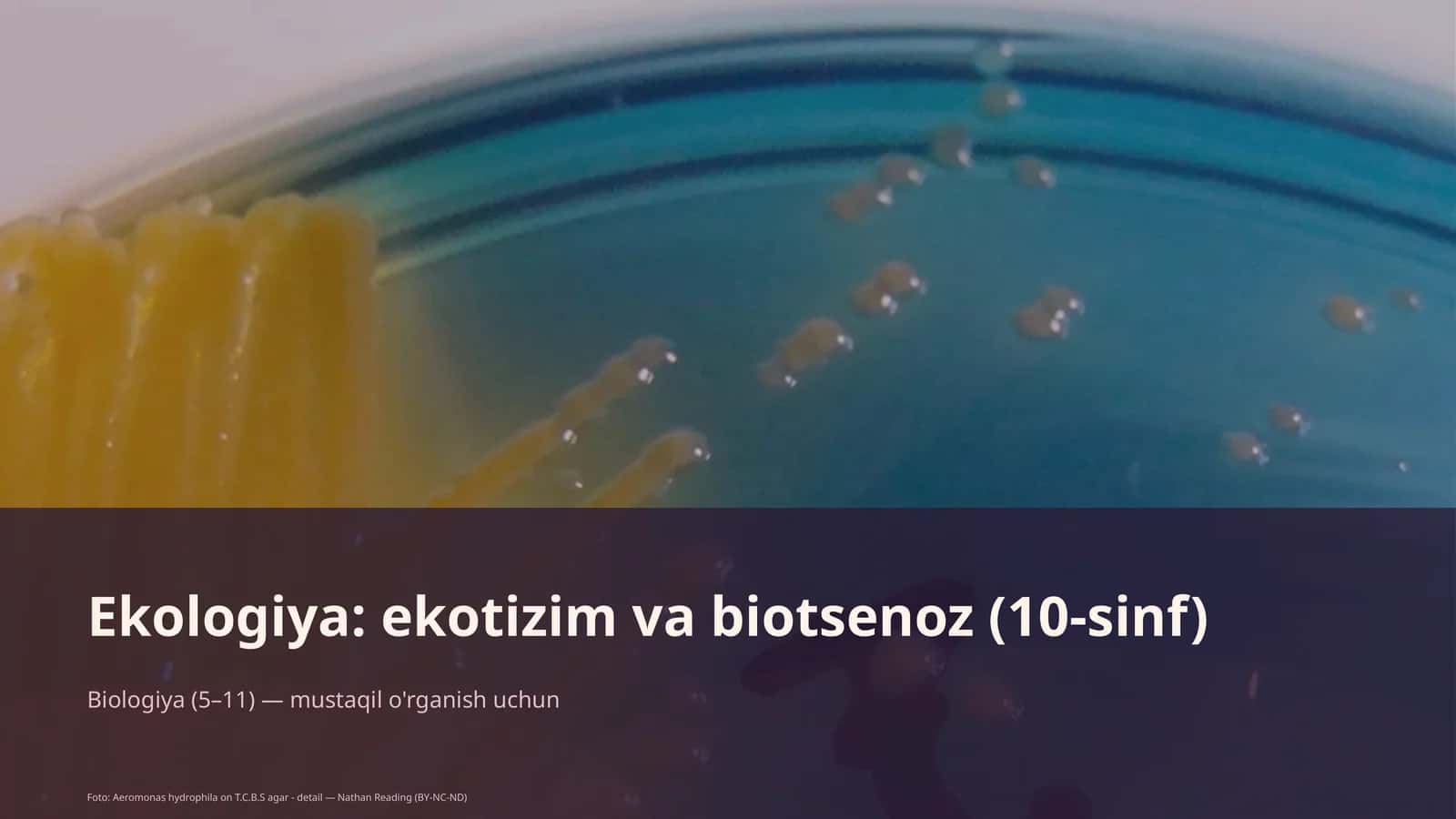 Ekologiya: ekotizim va biotsenoz (10-sinf) 1