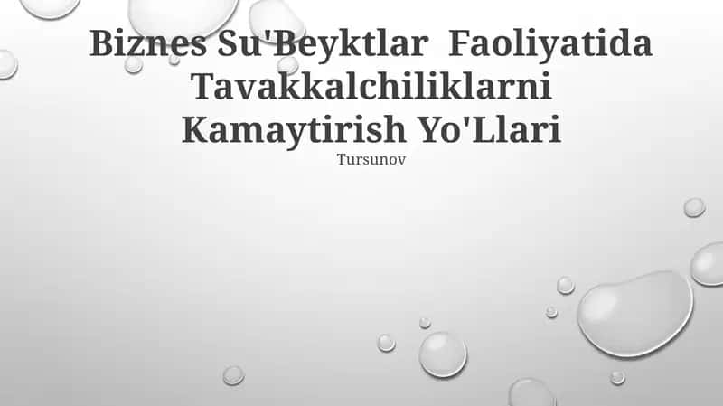 Biznes Su'Beyktlar Faoliyatida Tavakkalchiliklarni Kamaytirish Yo'Llari 1