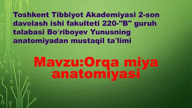 Orqa miya anatomiyasi 1