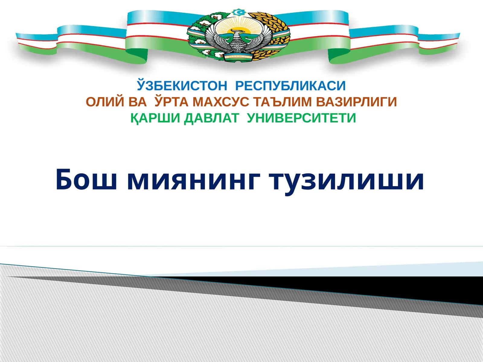 Бош мия тузилиши 1