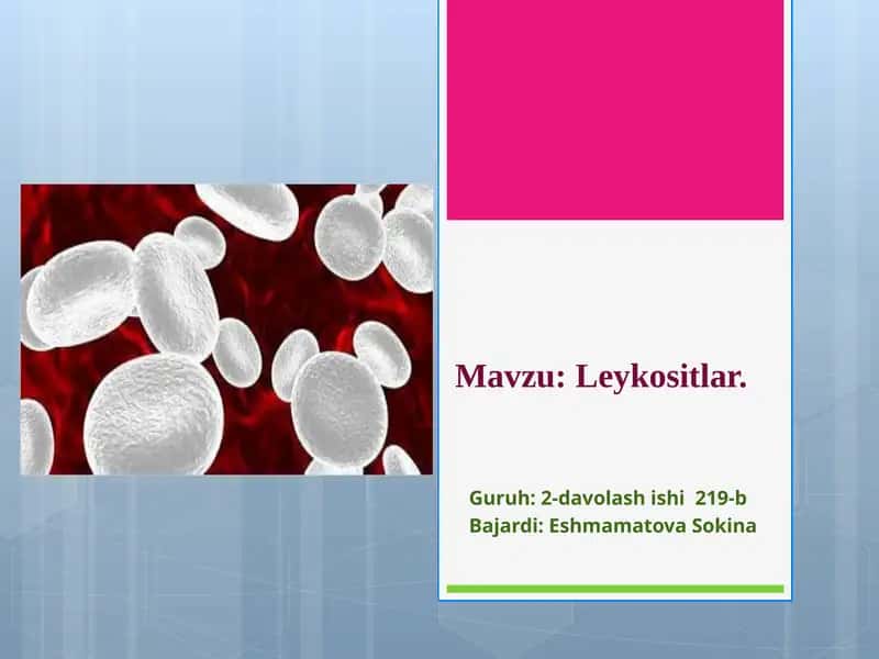 leykotsitlar 1