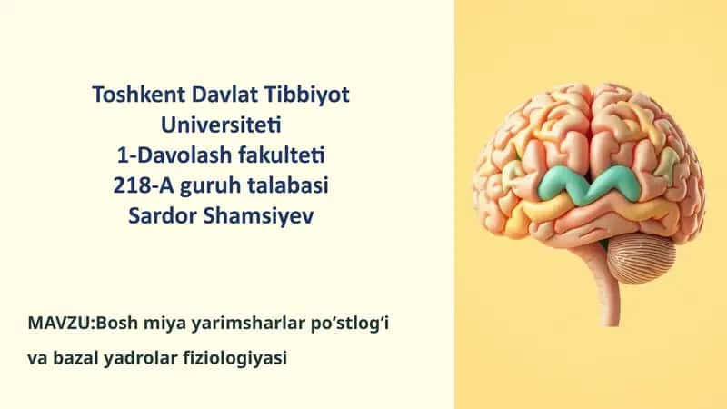 Bosh miya yarimsharlar poʻstlogʻi va bazal yadrolar fiziologiyasi 1