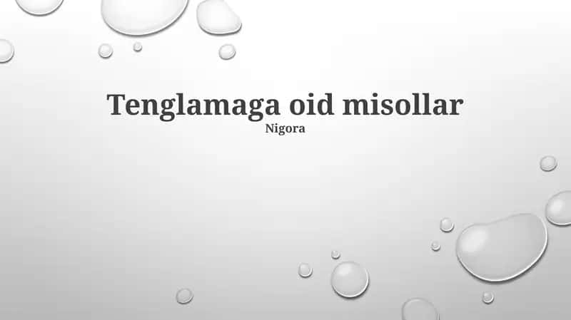 Tenglamaga oid misollar 1