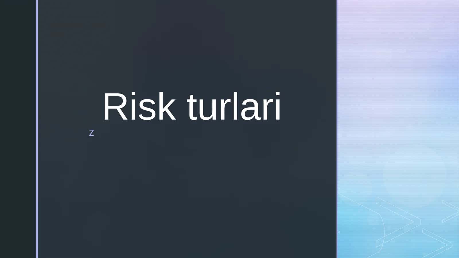 Risk turlari 1