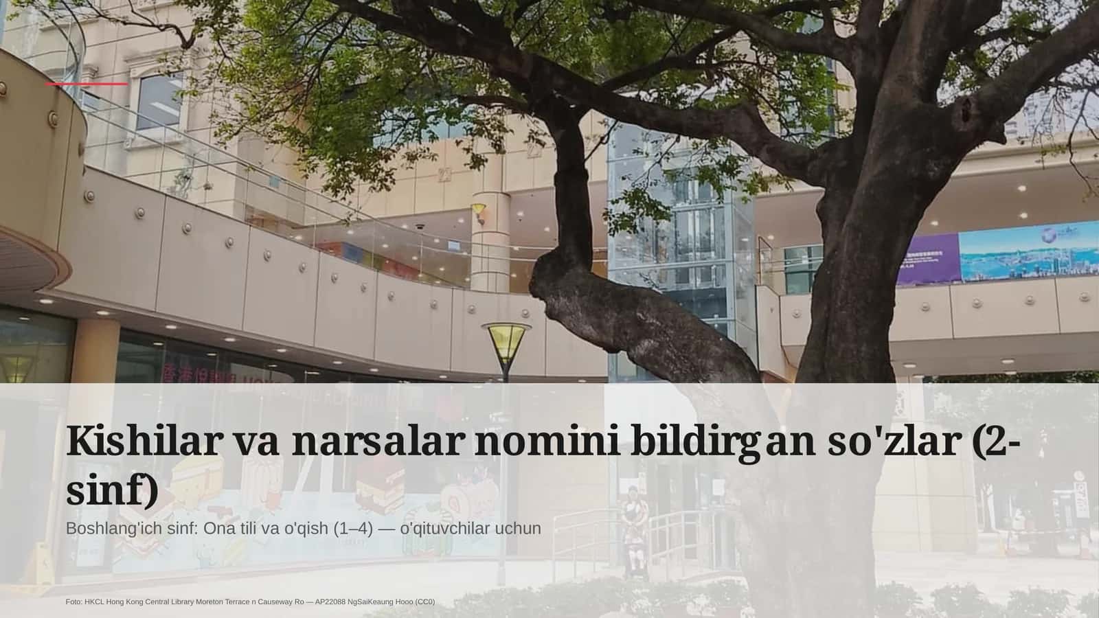 Kishilar va narsalar nomini bildirgan so'zlar (2-sinf) 1