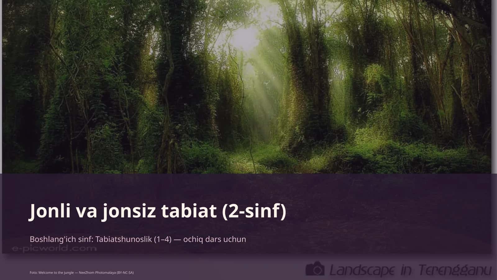 Jonli va jonsiz tabiat (2-sinf) 1