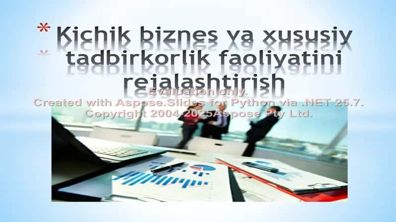 Kichik biznes va xususiy tadbirkorlik faoliyatini rejalashtirish. Biznes reja 1
