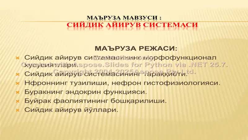 Сийдик айирув системаси 1