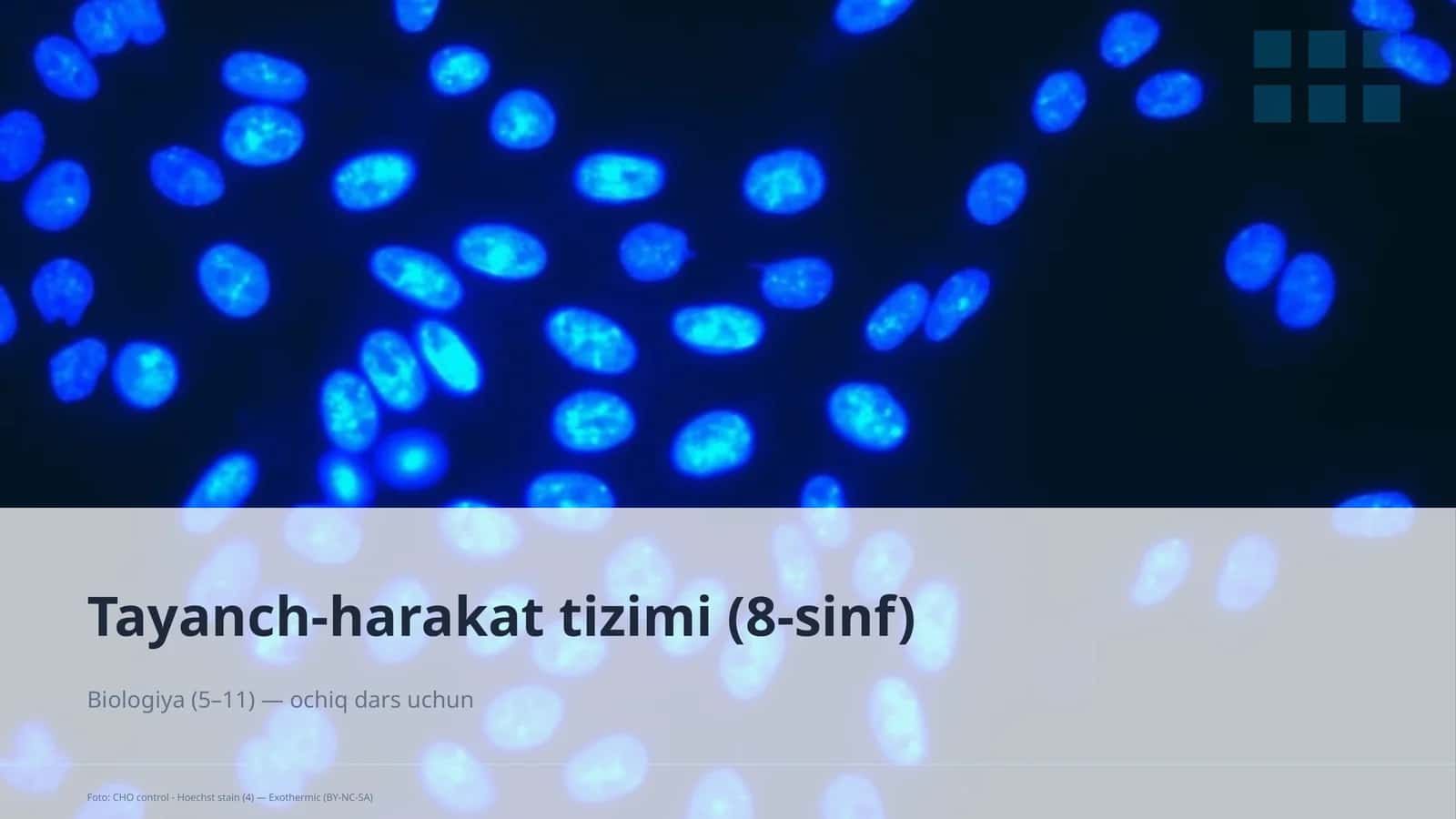 Tayanch-harakat tizimi (8-sinf) 1