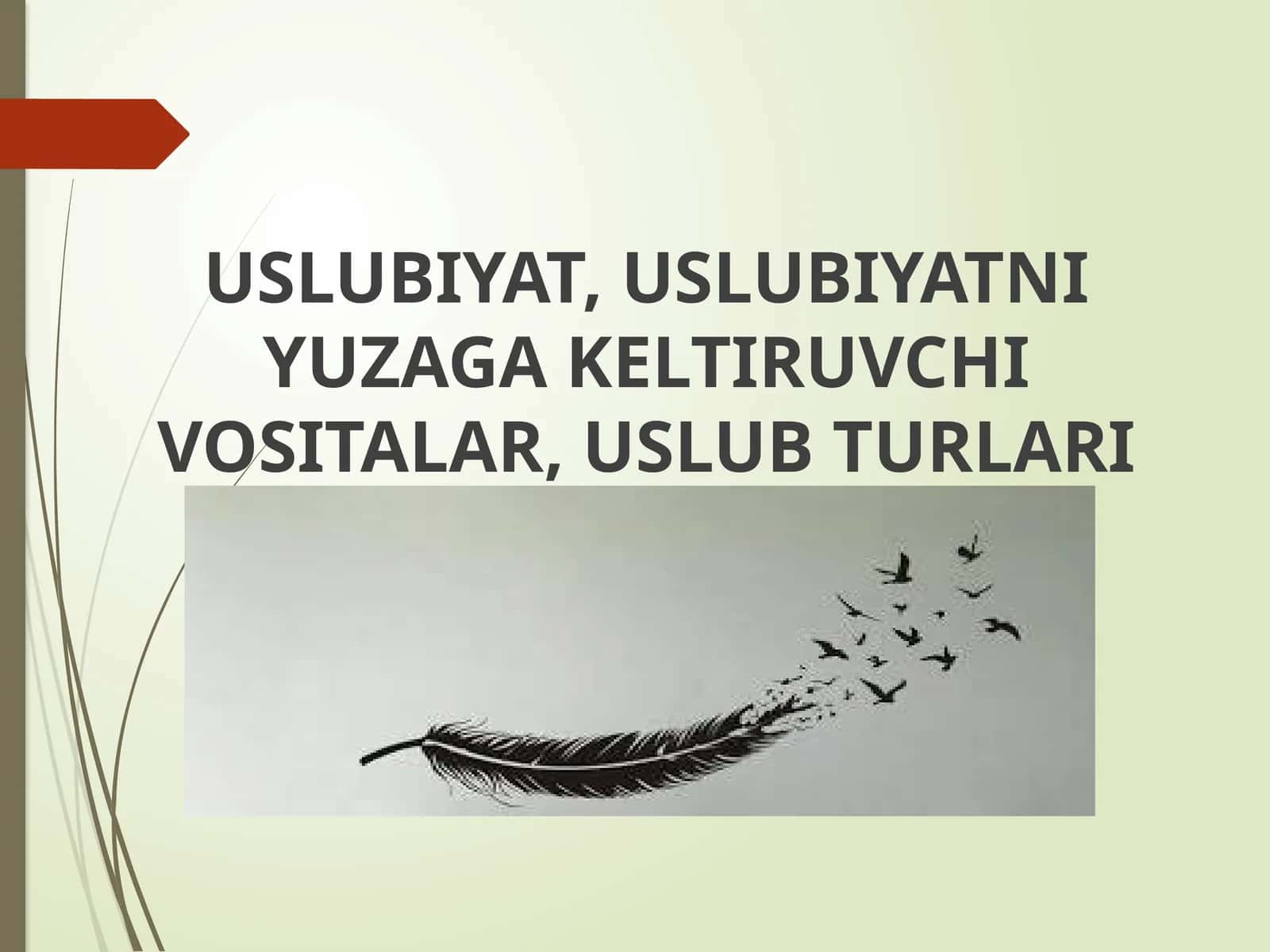 USLUBIYAT, USLUBIYATNI YUZAGA KELTIRUVCHI VOSITALAR, USLUB TURLARI 1