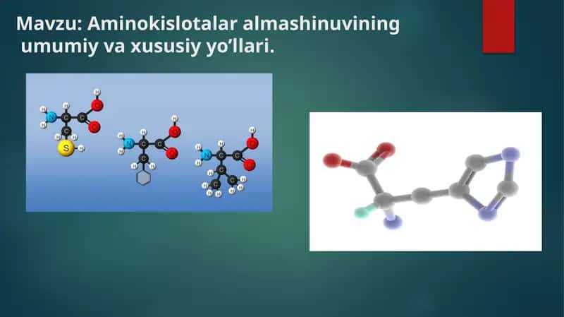 Aminokislotalar almashinuvining umumiy va xususiy yo’llari. 1