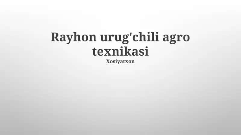Rayhon urug'chili agro texnikasi 1