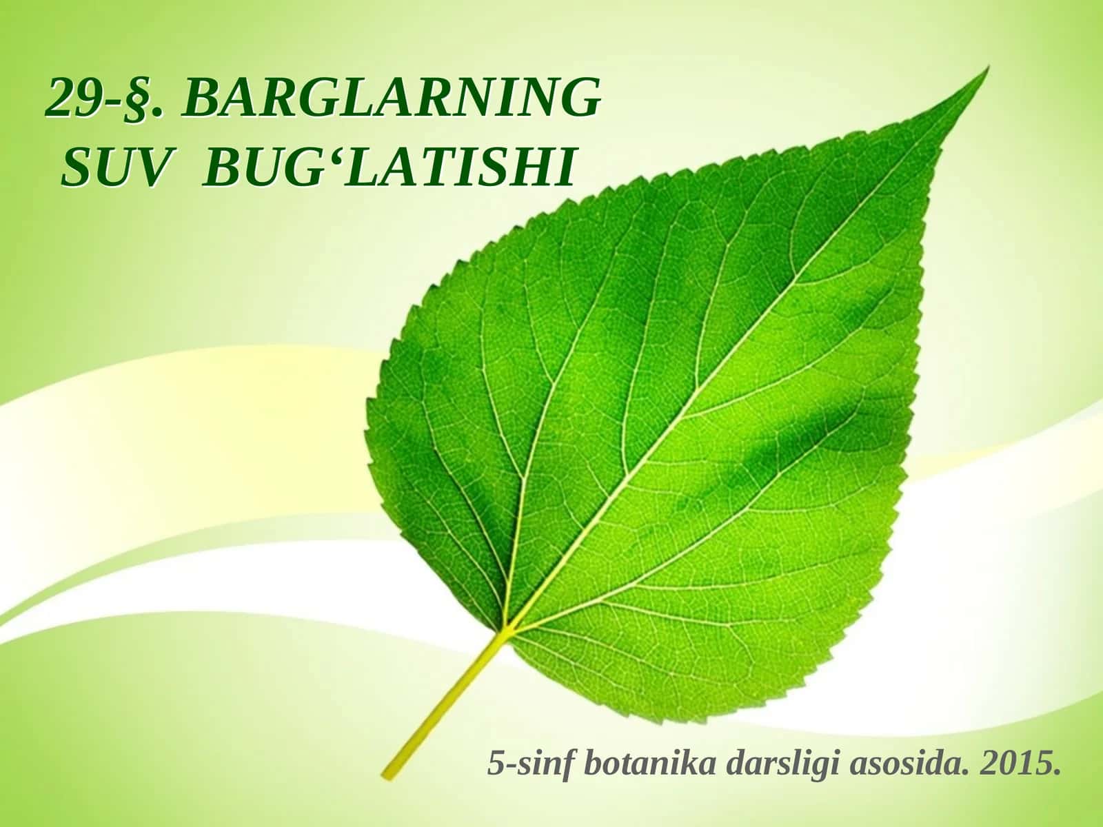 5-sinf Botanika Barglarning suv bug'latishi 1