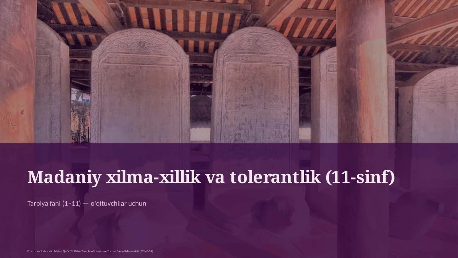 Madaniy xilma-xillik va tolerantlik (11-sinf) 1