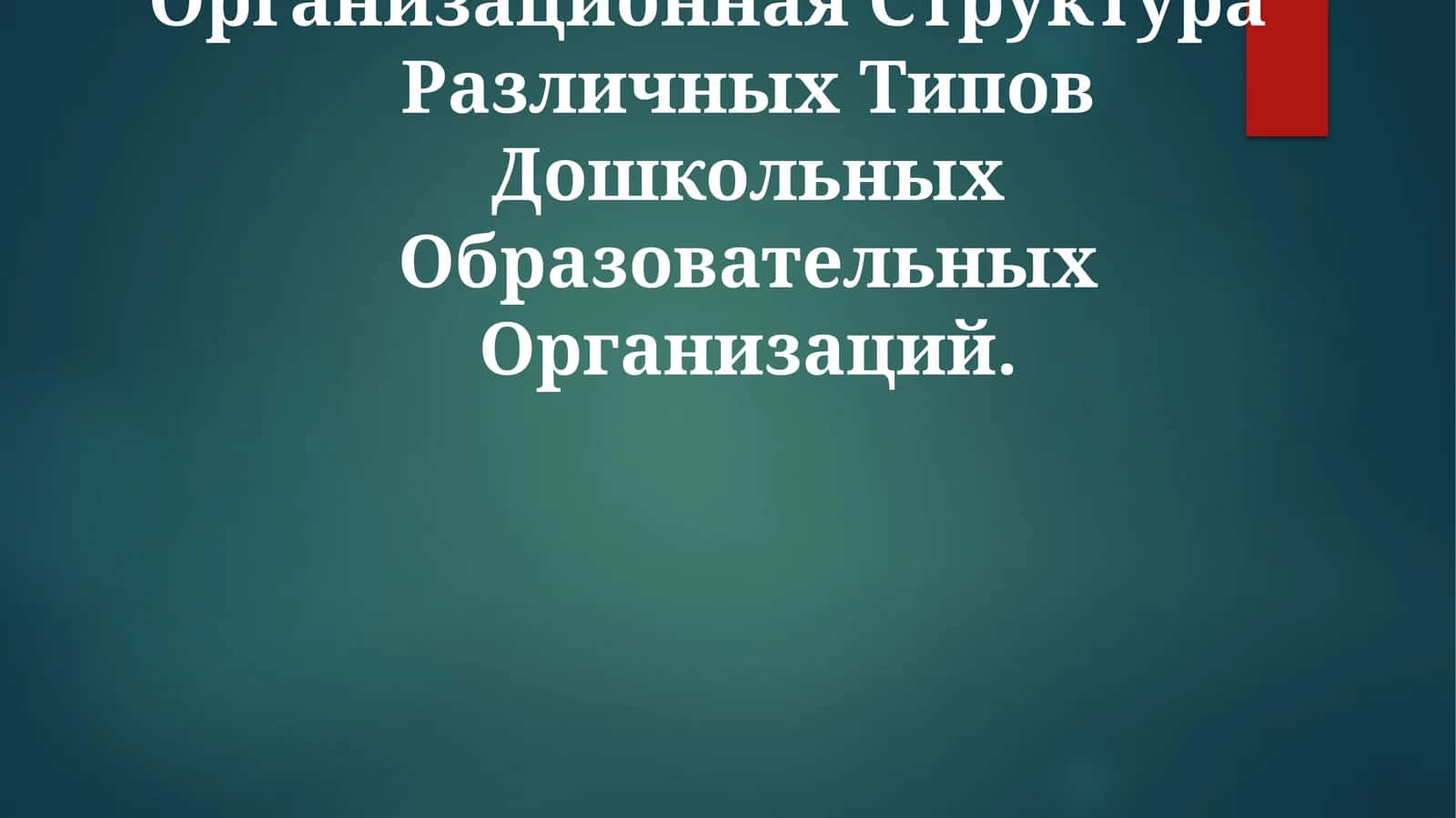 Организационная Структура 1