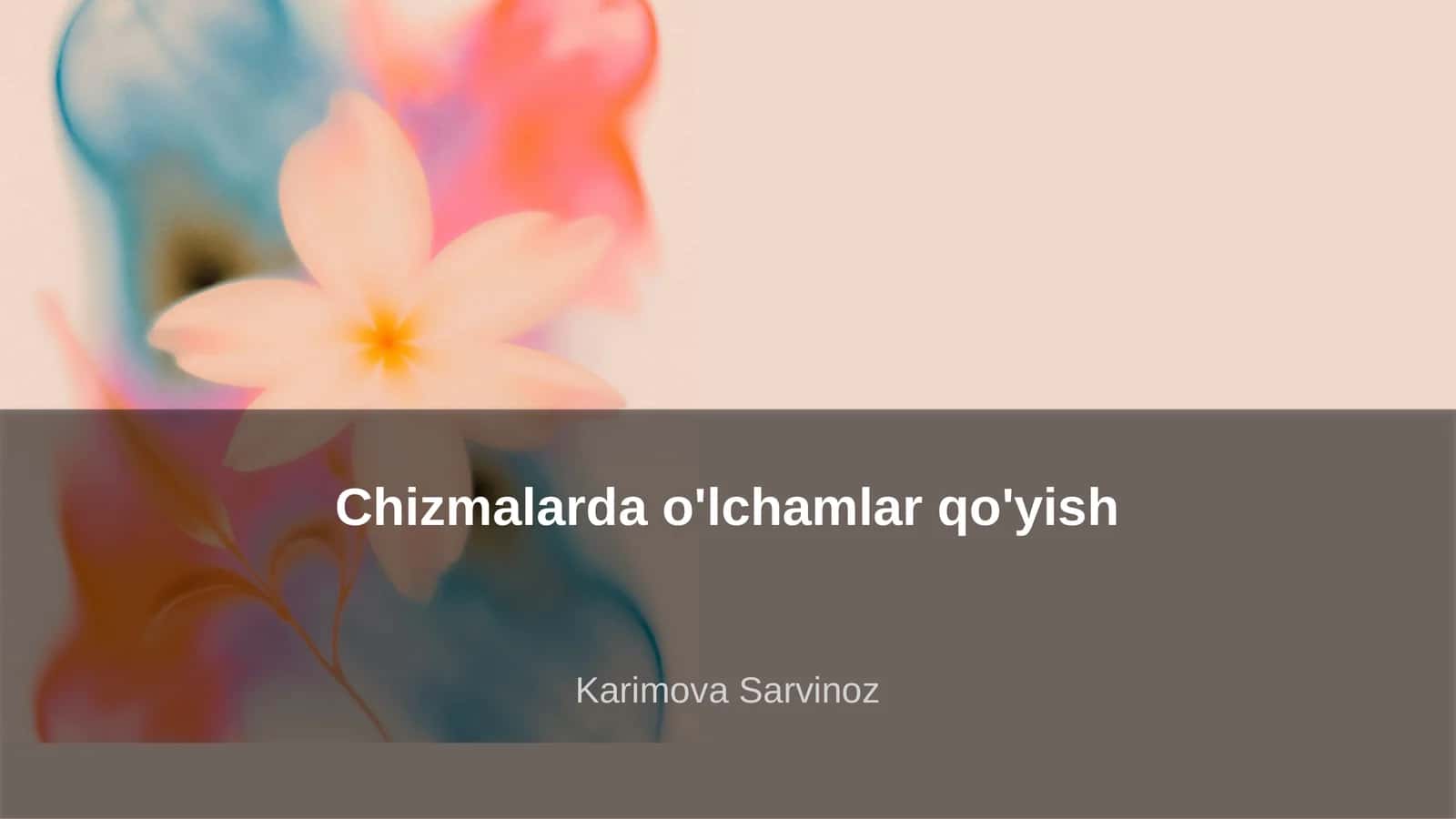 Chizmalarda o'lchamlar qo'yish 1