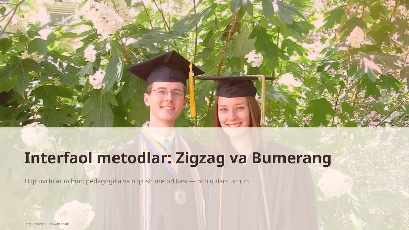 Interfaol metodlar: Zigzag va Bumerang 1