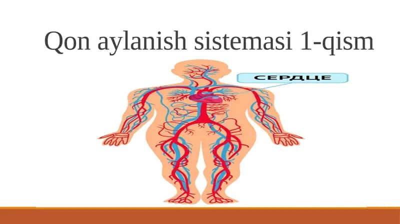 Qonaylanish sistemasi 1-qism 1