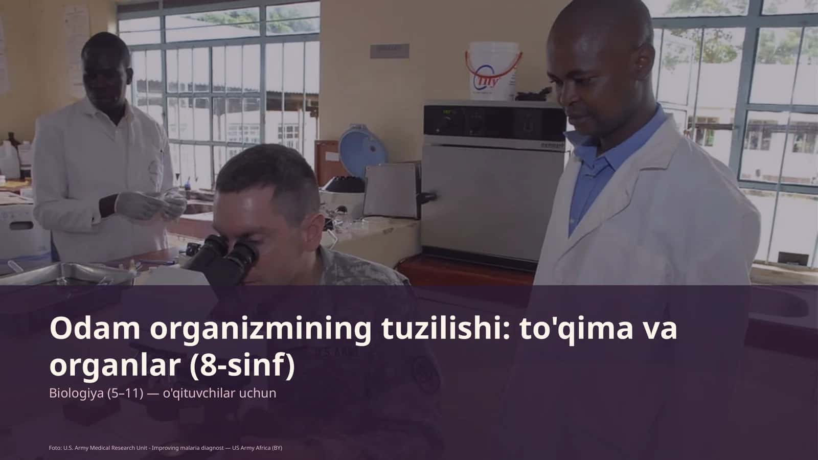 Odam organizmining tuzilishi: to'qima va organlar (8-sinf) 1