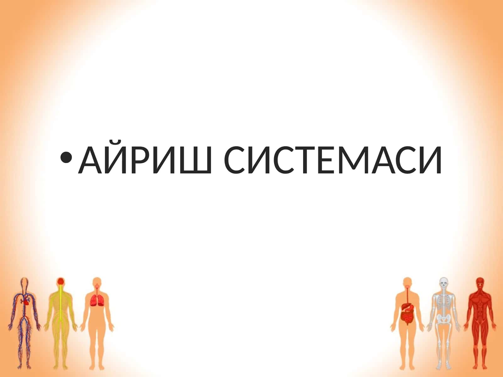 АЙРИШ СИСТЕМАСИ 1