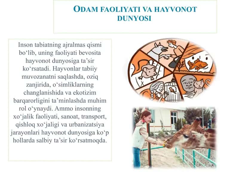 Odam faoliyati va hayvonot dunyosi - Bioekologiya fanining predmeti, maqsadi va vazifalari 1