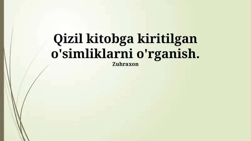 Qizil Kitobga kiritilgan o'simliklarni o'rganish 1