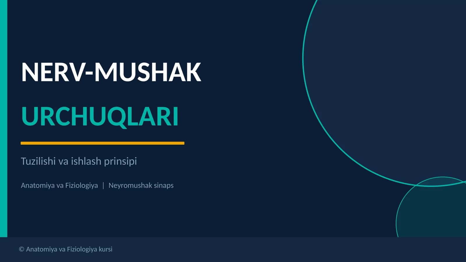 NERV-MUSHAK URCHUQLARI 1