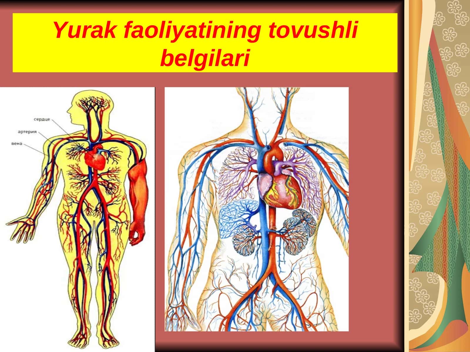Yurak faoliyatining tovushli belgilari 1