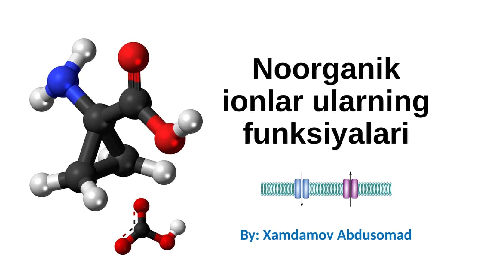 Noorganik ionlar 1