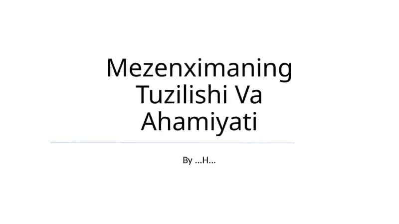 Mezenximaning Tuzilishi Va Ahamiyati 1