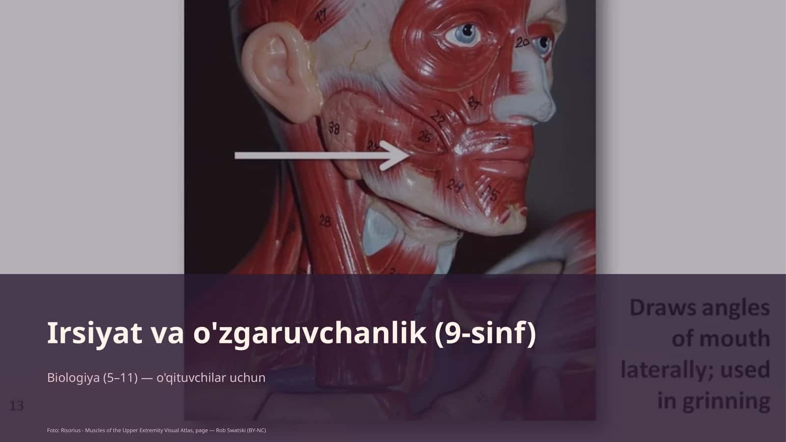 Biologiya (5–11) — o'qituvchilar uchun 1