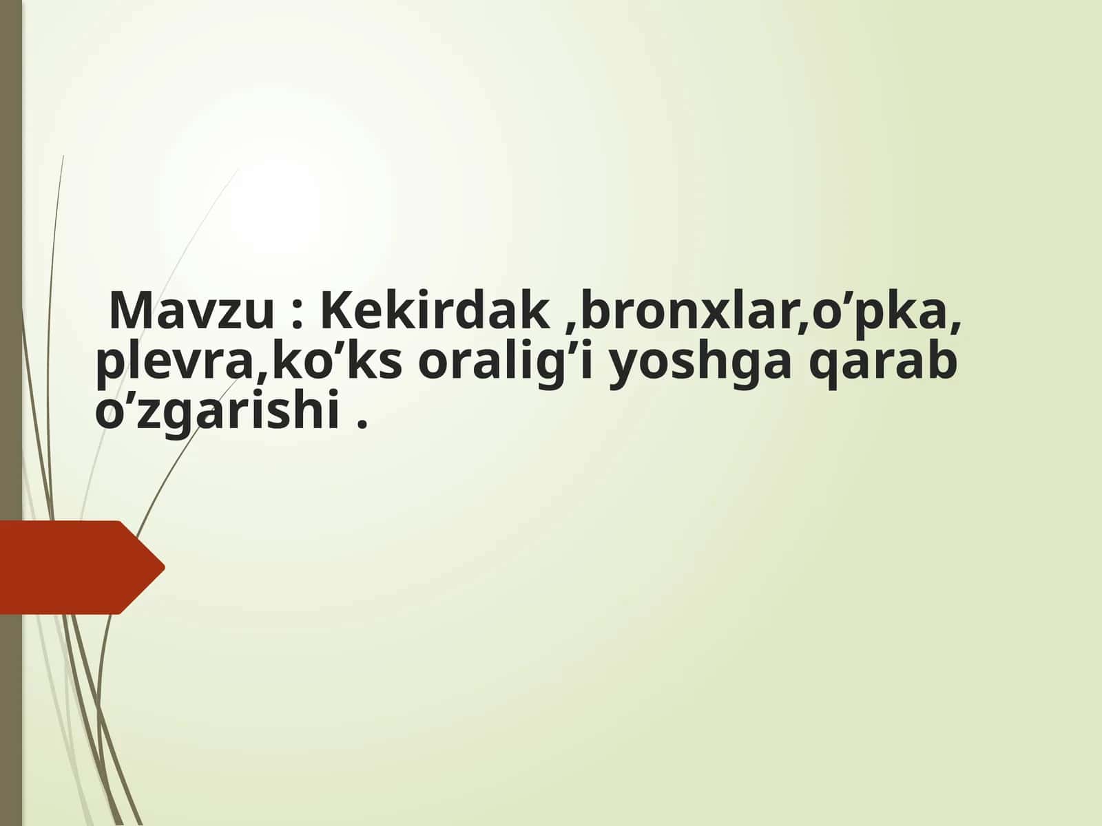 KEKIRDAK. BRONXLAR VA O'PKA 1