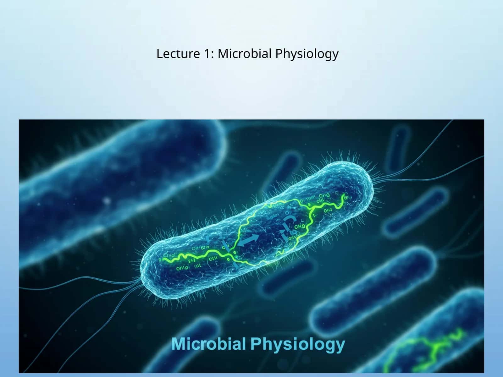 Mikrobiologik fiziologiya 1