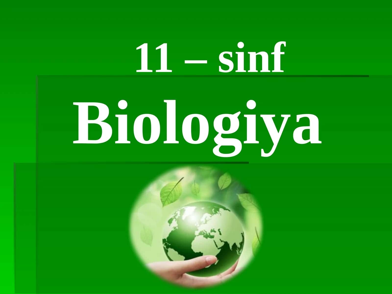 11 – sinf Biologiya. oʻsimliklar filoginezi, oʻsimliklarning vegetativ organlari filoginezi. 1