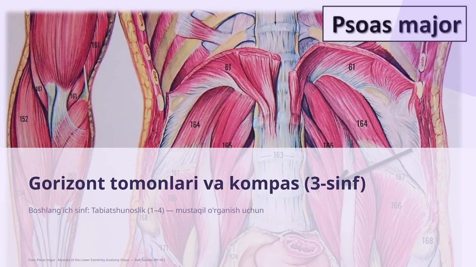 Gorizont tomonlari va kompas (3-sinf) 1