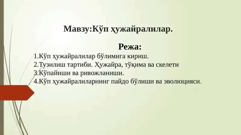 Ko‘p hujayralilar 1