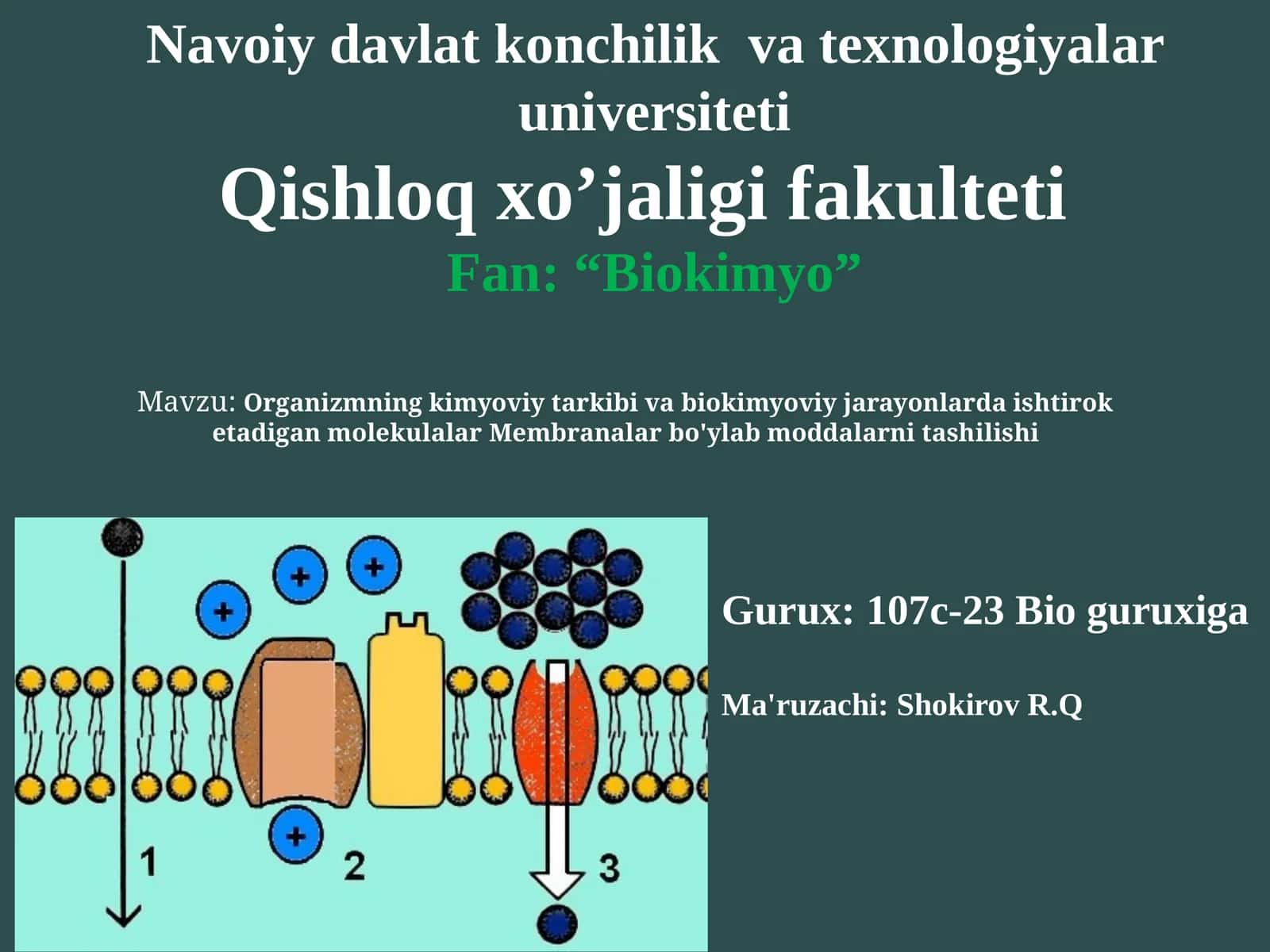 Organizmning kimyoviy tarkibi va biokimyoviy jarayonlarda ishtirok etadigan molekulalar. Membranalar bo'ylab moddalarni tashilishi 1