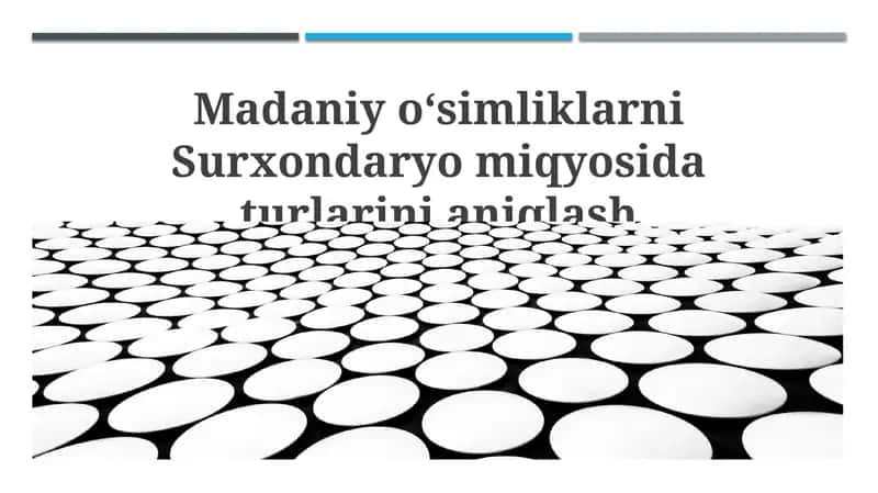 Surxondaryo viloyatida o'simlik turlarini aniqlash 1