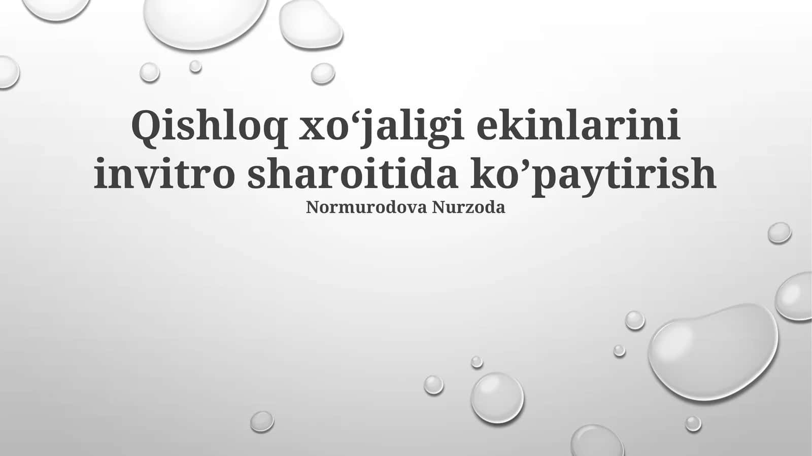 Qishloq xoʻjaligi ekinlarini invitro sharoitida koʼpaytirish 1
