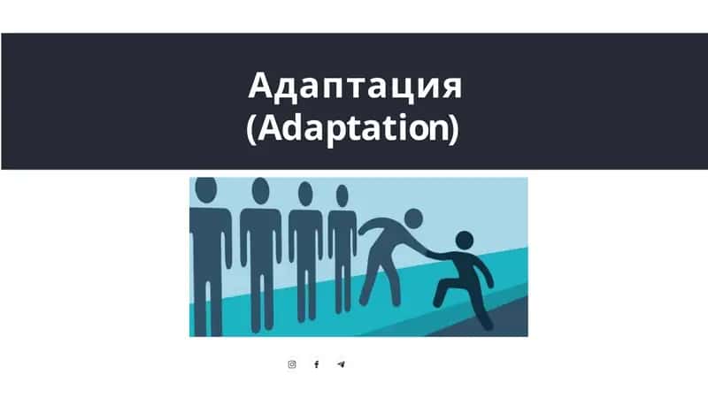 Адаптация(Adaptation) 1